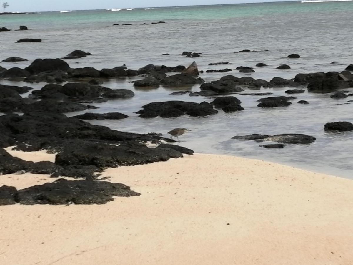 Les Filaos De Pereybere Apartment Pereybere Beach Exterior foto